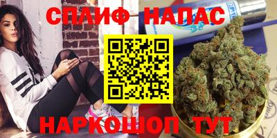 твердый Будённовск