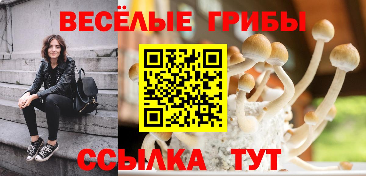 Псков  Галлюциногенные грибы Magic Shrooms  закладки  Вход с VPN 